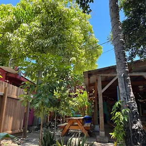 Banana Maui Hostel