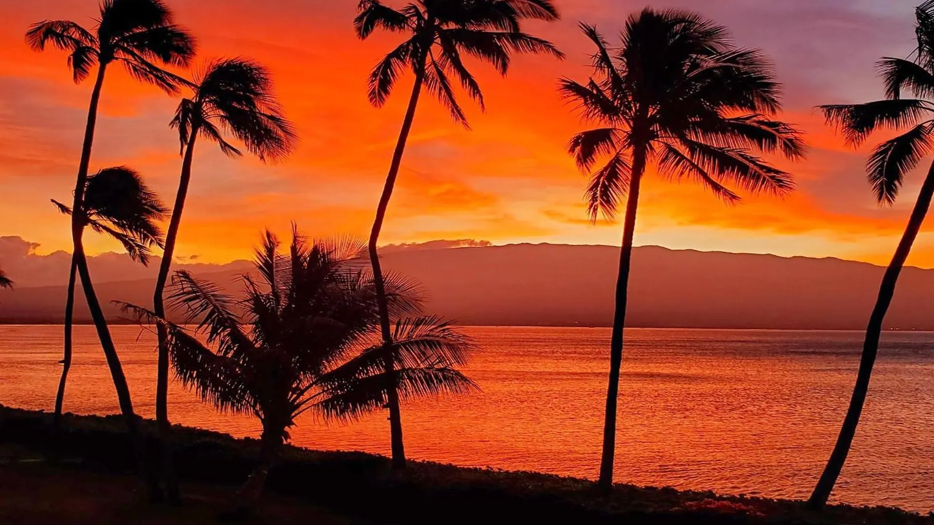 Maalaea Banyans 411 Villa Wailuku